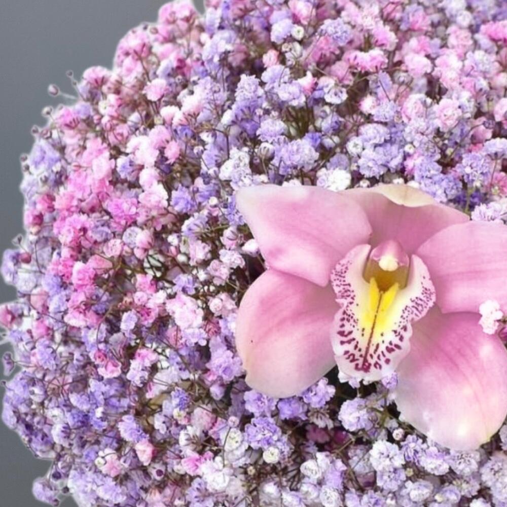 https://content2.flowwow-images.com/data/flowers/1000x1000/28/1686318071_45999028.jpg